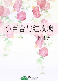 《小百合與紅玫瑰》